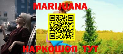 шишки Тара