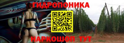 шишки Тара