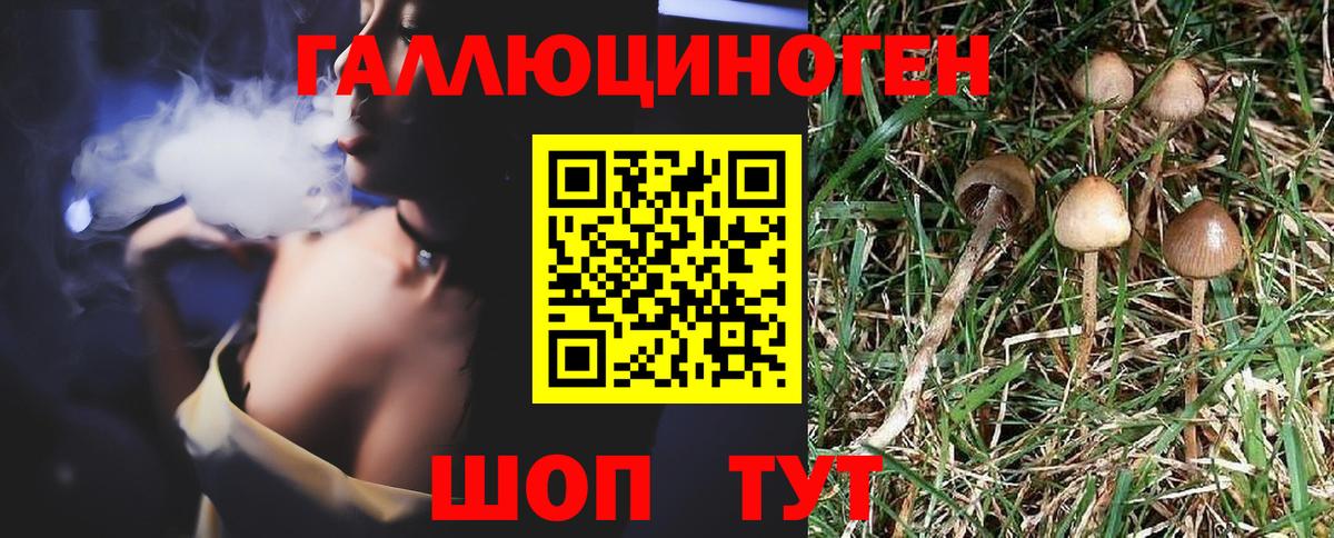 Нижневартовск  Галлюциногенные грибы Psilocybe  как найти закладки  Вход с VPN 